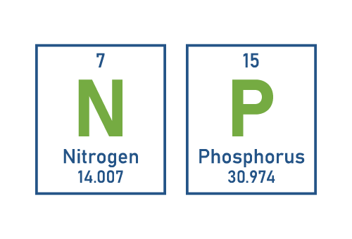 Nitrogen and phosphorus